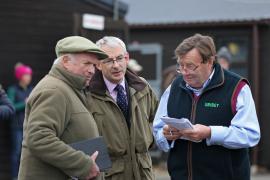 DAVID MINTON, ANTHONY BROMLEY, NICKY HENDERSON