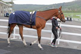 Frisson Collonges (FR)