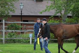 Gavin Cromwell TCMay0803Tattersalls