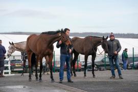 GV Lot 10 And Lot 36 TCF1023Tattersalls