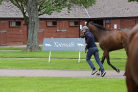 GV Tattersalls TCMay0131Tattersalls