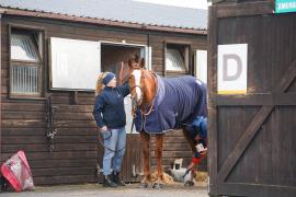 GV TCF1005Tattersalls