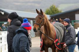 GV TCF1143Tattersalls