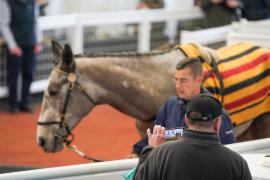 GV TCF2674Tattersalls