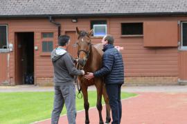 GV TCMay0875Tattersalls