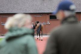 GV Trotting TCMay0445Tattersalls