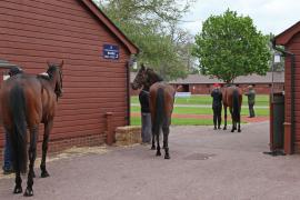 GV Waiting TCMay0985Tattersalls