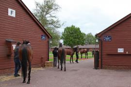 GV Waiting TCMay0999Tattersalls