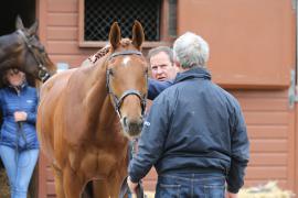 Kevin Ross TCMay1180Tattersalls