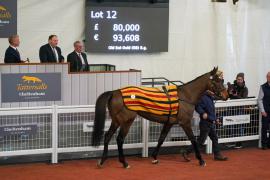 Lot  12 TCF5638Tattersalls