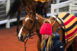 Lot  14 TCF4558Tattersalls