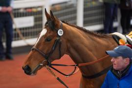 Lot  15 TCF3470Tattersalls