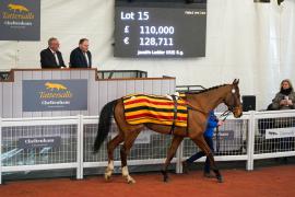 Lot  15 TCF4313Tattersalls