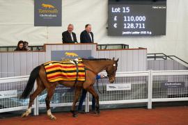 Lot  15 TCF4658Tattersalls