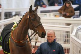 Lot  16 TCF5529Tattersalls