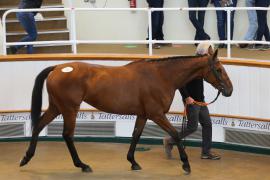 Lot  23 TCMay2897Tattersalls