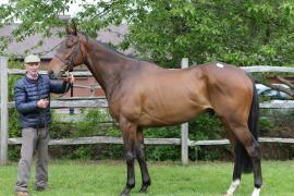 Lot  24 TCMay1473Tattersalls