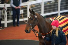 Lot  27 TCF4650Tattersalls