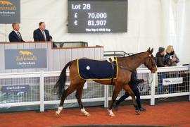 Lot  28 TCF4651Tattersalls