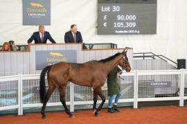 Lot  30 TCF4578Tattersalls