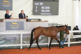 Lot  30 TCF4591Tattersalls