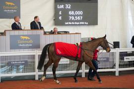 Lot  32 TCF3802Tattersalls