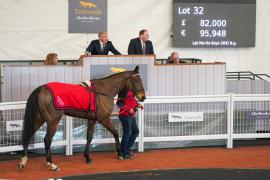 Lot  32 TCF5413Tattersalls