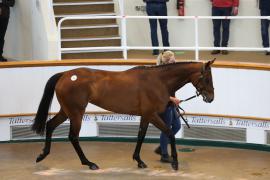 Lot  32 TCMay3400Tattersalls