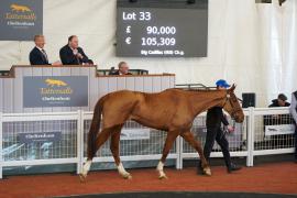 Lot  33 TCF3601Tattersalls