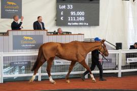 Lot  33 TCF4378Tattersalls