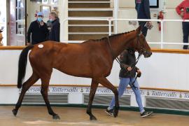 Lot  33 TCMay3459Tattersalls