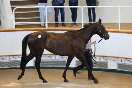 Lot  35 TCMay3488Tattersalls