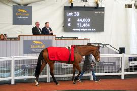 Lot  39 TCF2146Tattersalls