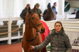 Lot  39 TCF2685Tattersalls