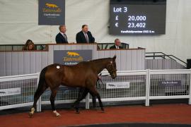 Lot  3 TCF2957Tattersalls