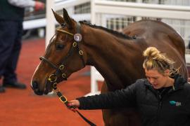 Lot  3 TCF3462Tattersalls