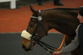 Lot  3 TCF3563Tattersalls