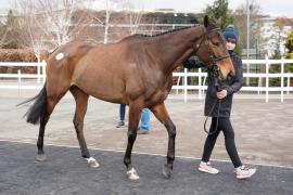 Lot  3 TCF895Tattersalls