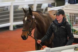 Lot  41 TCF2837Tattersalls