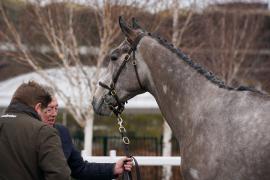 Lot  42 TCF1380Tattersalls