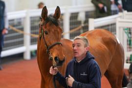 Lot  43 TCF1756Tattersalls