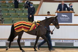 Lot  45a CDS 10122020 Tattersalls