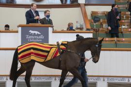 Lot  45 CDS 10122020 Tattersalls