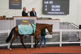 Lot  45 TCF1954Tattersalls