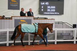 Lot  45 TCF2045Tattersalls