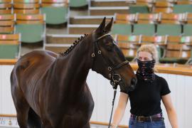 Lot  45 TCMay3725Tattersalls