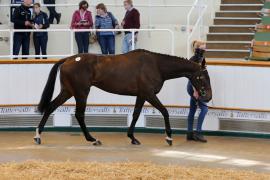 Lot  45 TCMay3741Tattersalls