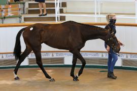 Lot  45 TCMay3845Tattersalls