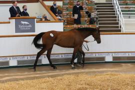 Lot  46 TCMay3890Tattersalls