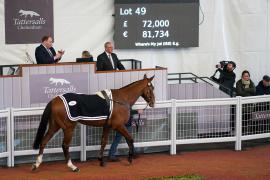 Lot  49 TCF3279Tattersalls